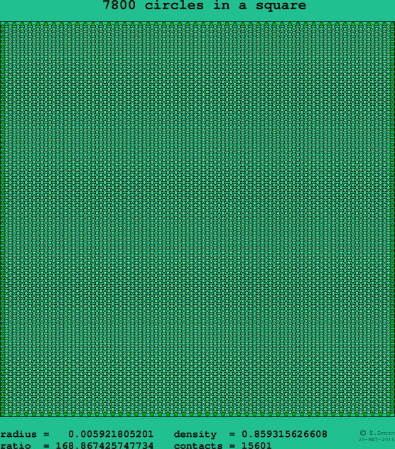 7800 circles in a square