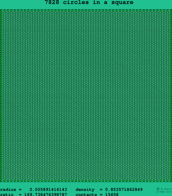 7828 circles in a square