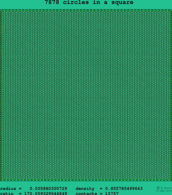 7878 circles in a square