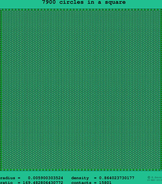 7900 circles in a square