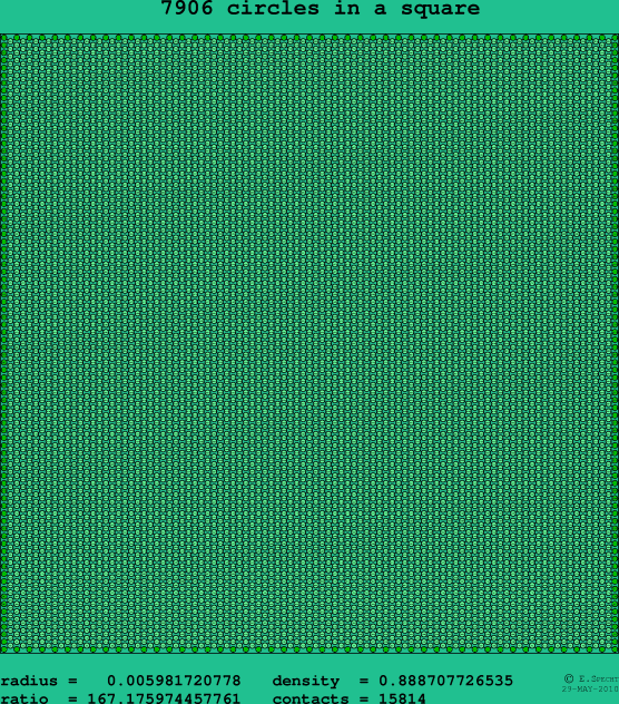 7906 circles in a square