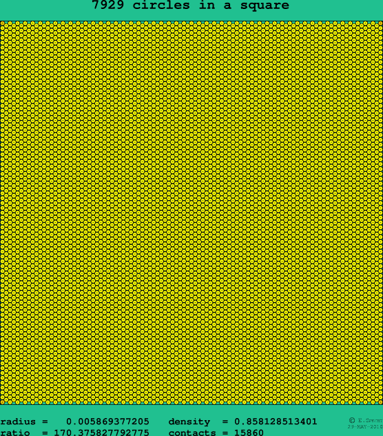 7929 circles in a square