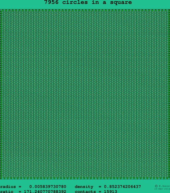 7956 circles in a square