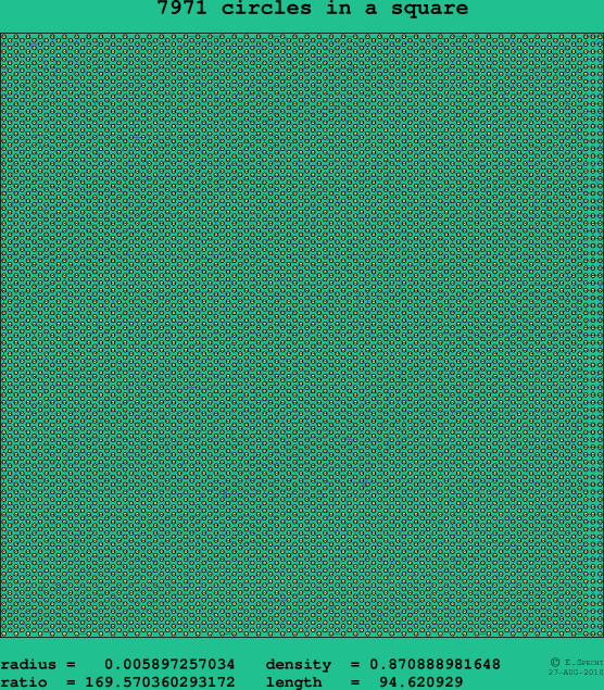 7971 circles in a square