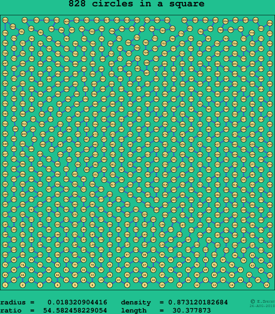828 circles in a square