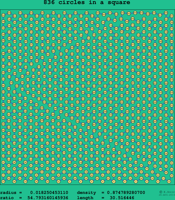 836 circles in a square