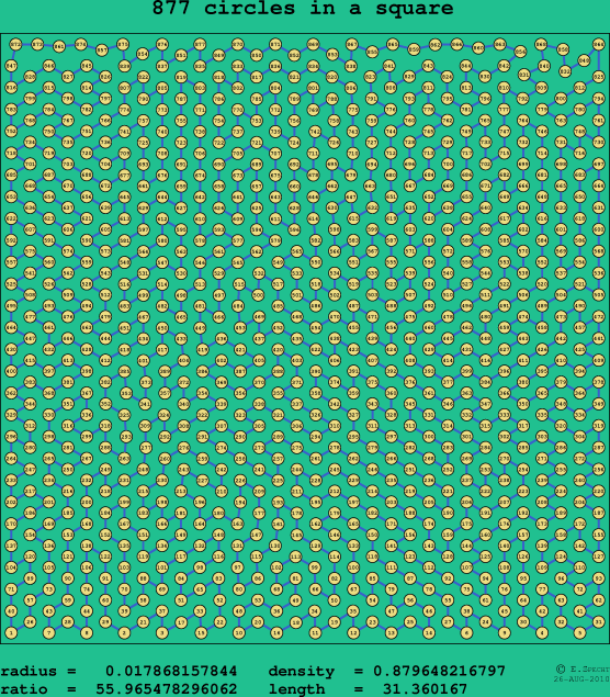 877 circles in a square