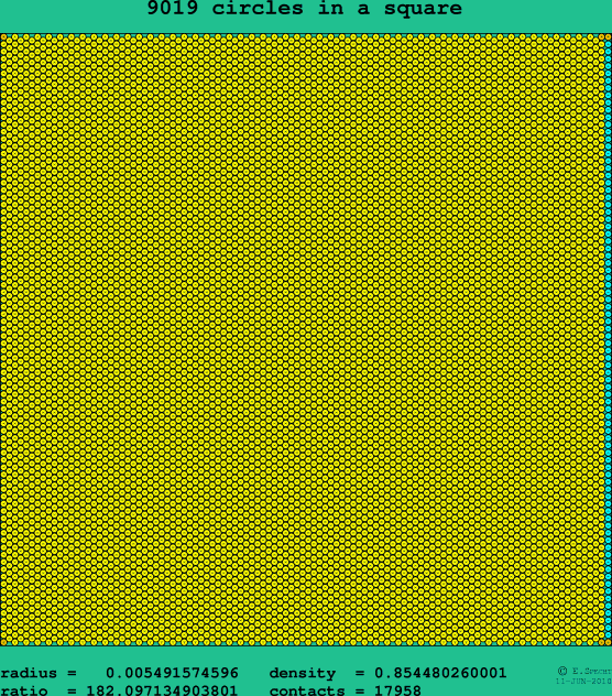 9019 circles in a square
