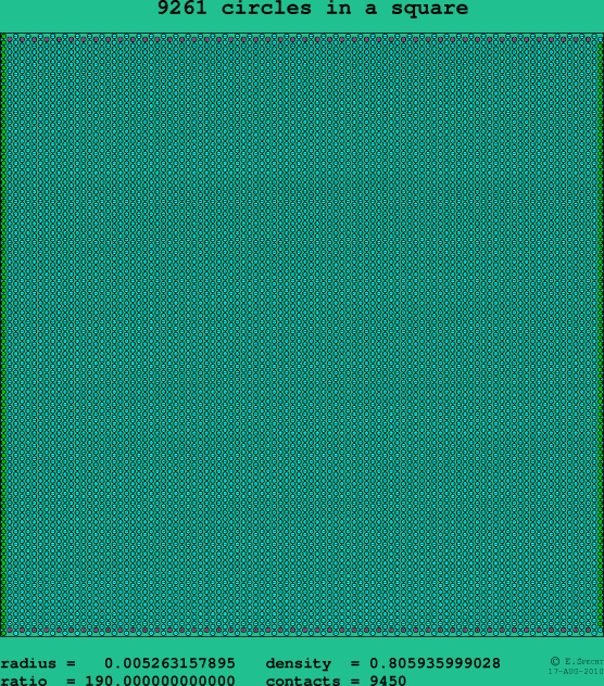 9261 circles in a square