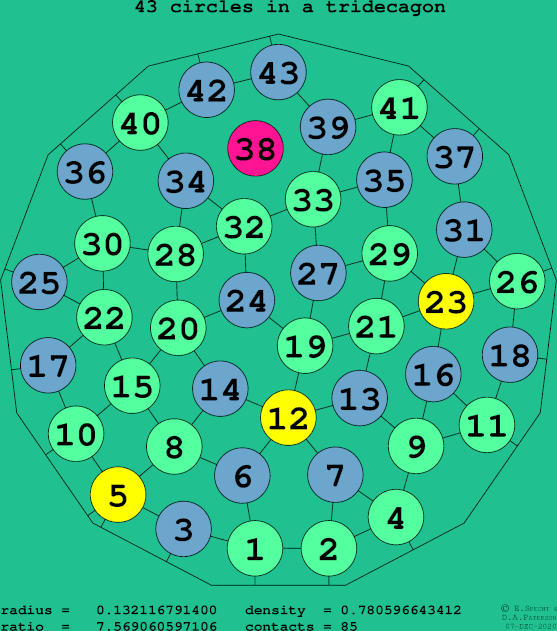 43 circles in a regular tridecagon