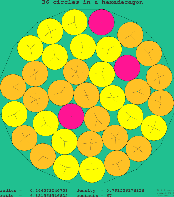 36 circles in a regular hexadecagon