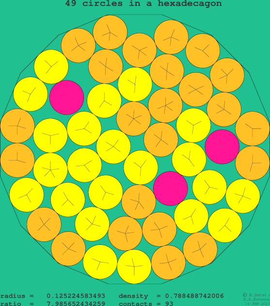 49 circles in a regular hexadecagon