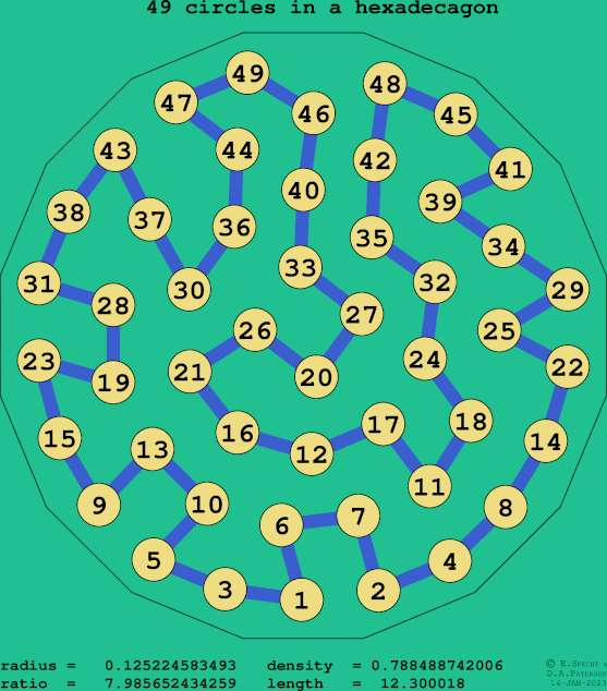 49 circles in a regular hexadecagon