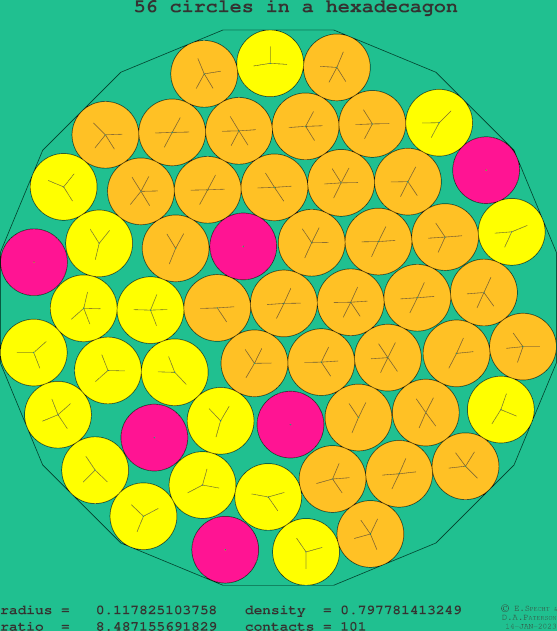 56 circles in a regular hexadecagon