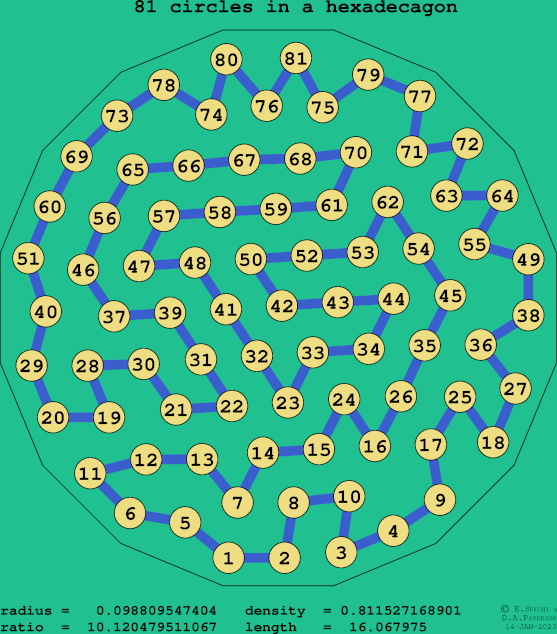 81 circles in a regular hexadecagon